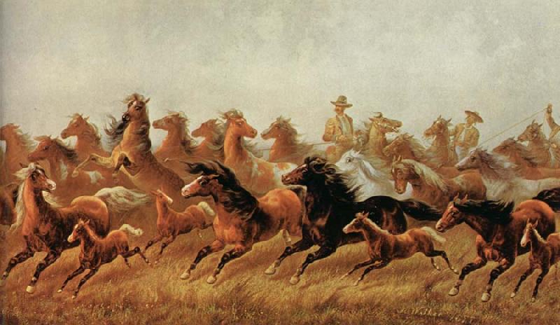 James Walker Roping wild horses Germany oil painting art